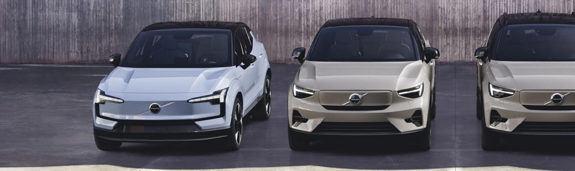 Volvo EV-subsidie actie