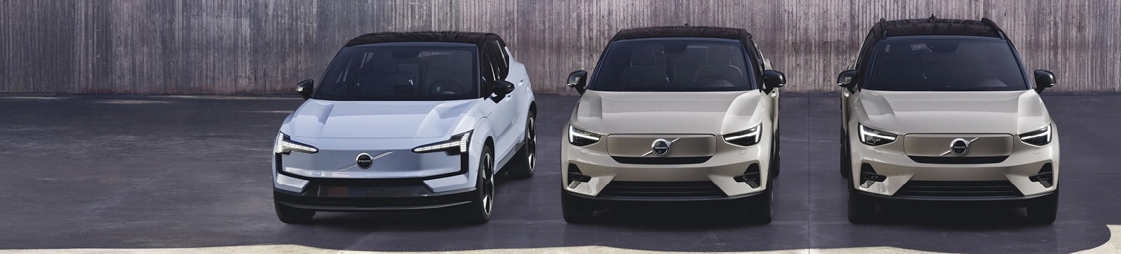 Volvo EV-subsidie actie